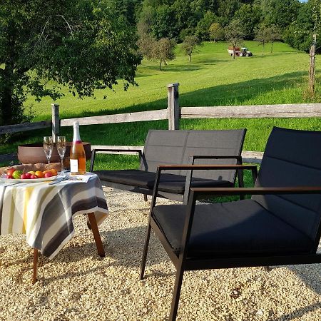 Business Apartment Schwarzach Екстериор снимка