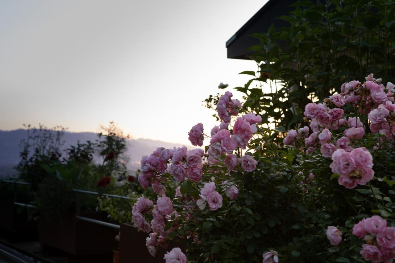 Business Apartment Schwarzach Екстериор снимка